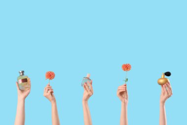 Mavi arka planda parfüm şişeleri ve yıldız çiçekleri olan kadın elleri.