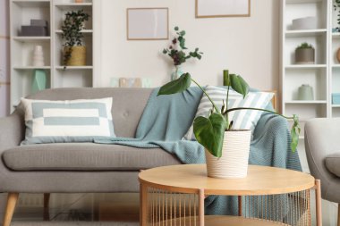 Oturma odasının içinde çiçekli rahat bir kanepe ve kahve masası.