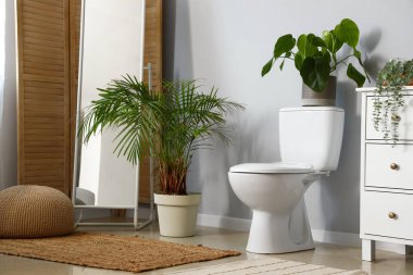 Seramik klozet ve ev bitkileriyle aydınlık tuvaletin içinde.