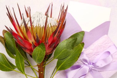 Boş kartla zarf, hediye kutusu ve arka planda protea çiçeği, yakın plan.