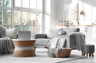 Modern oturma odasının içinde disko topu, gri kanepeler ve sehpanın üzerinde dizüstü bilgisayar.