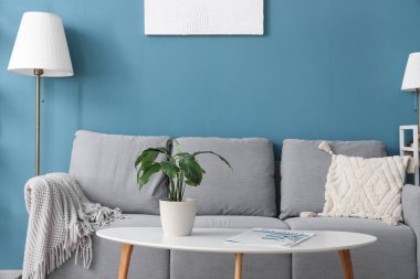 Rahat kanepe, çiçek, lamba ve sehpası olan mavi oturma odasının şık bir iç mekanı.