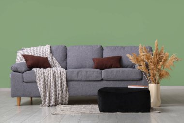 Şık gri koltuklu, otlu ve sedirli oturma odasının içi.