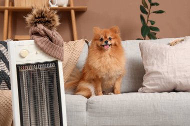 Evdeki elektrikli ısıtıcının yanındaki kanepede oturan sevimli Pomeranya köpeği.