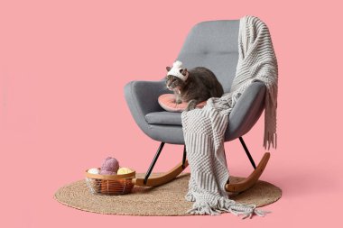 Pembe arka planda, koltukta uzanmış, sıcak örülü şapkalı sevimli kedi.