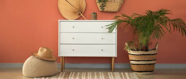 Mercan duvarına yakın, çekmeceleri ve bitkileri olan modern bir oda.