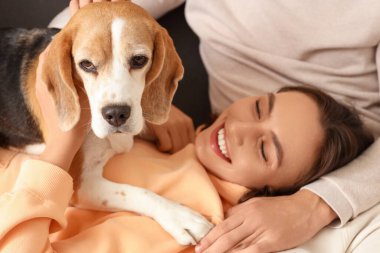 Evde sevimli Beagle köpeği olan genç çift, yakın plan.