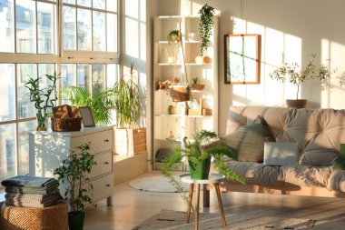 Yeşil bitkiler, kanepe ve raf ünitesiyle aydınlık oturma odasının içinde.