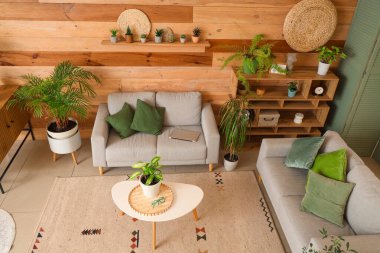 Oturma odasının içinde yeşil bitkiler, kanepeler ve raflar var.