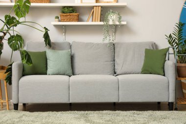 Gri kanepesi, bitkileri ve rafları olan oturma odasının içinde.