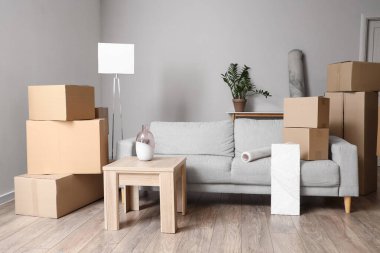 Taşındığı gün oturma odasında kanepe ve sehpa olan karton kutular.