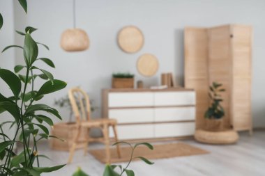 Aydınlık oturma odasına dallar dikin, yakın plan.