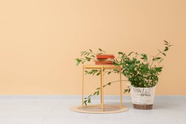 Bej duvarın yanında kitap yığını ve bitkilerle dolu bir masa.