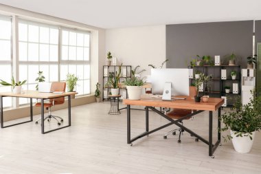 Ofis içi masalar, raf üniteleri ve yeşil bitkilerle