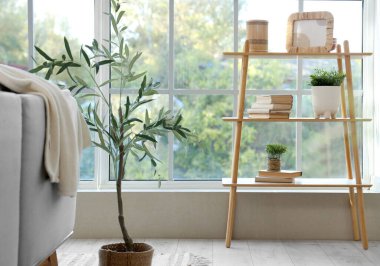 Ev bitkileri, kitaplar ve pencerenin yanındaki aydınlık oturma odasındaki çerçeve rafları.