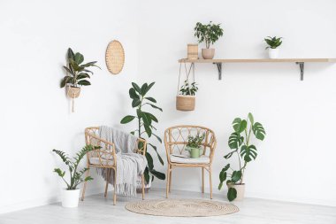 Yeşil bitkilerle, koltuklarla ve raflarla aydınlatma odasının içinde.