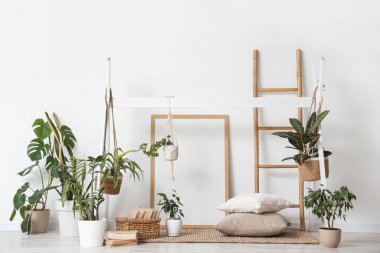 Yeşil bitkiler, kitaplar ve merdiveni olan ışık odasının içinde.