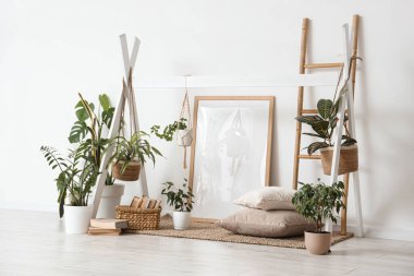 Yeşil bitkiler, kitaplar ve merdiveni olan ışık odasının içinde.