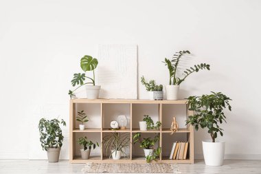 Yeşil bitkileri olan raf ünitesi ve ışık duvarının yanındaki oda.