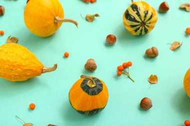 Turkuaz zemin üzerinde balkabakları, viburum ve meşe palamudu ile sonbahar kompozisyonu