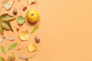 Kabaklı kompozisyon, sonbahar yaprakları ve turuncu arka planda meşe palamudu