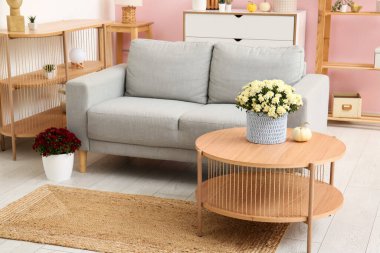 Gri kanepesi ve kahve masasında güzel kasımpatı çiçekleri olan modern oturma odasının içinde.