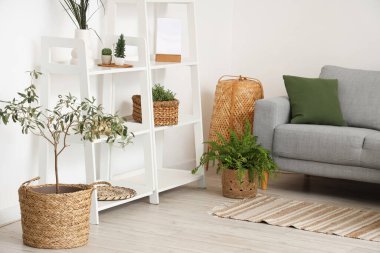 Oturma odasının içinde raf üniteleri, rahat kanepe ve ev bitkileri var.