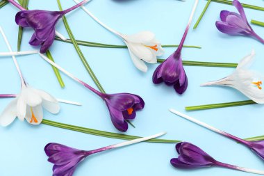 Mavi arka planda güzel kır çiçekleri