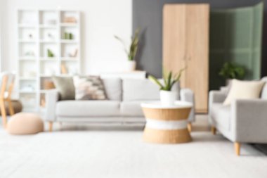 Gri kanepeleri, bitkileri ve masası olan bulanık oturma odası manzarası