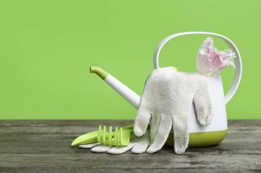 Lale çiçeği ve bahçe aletleri yeşil arka plana karşı masada