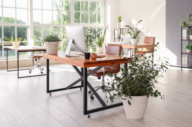 Masaları ve yeşil bitkileri olan ofis içi