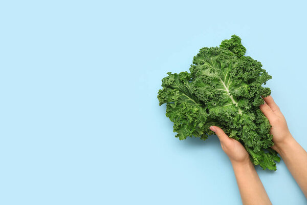 Female hands with fresh leaves of kale cabbage on blue background