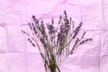 Buruşuk mor kağıt üzerinde güzel lavanta çiçekleri dalları