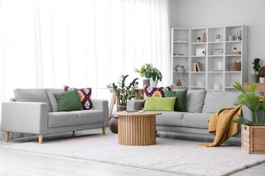 Interior of living room with sofas, shelf unit and green plants