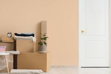 Mobilyalar, ev bitkisi ve bej duvarın yanında eşyalar olan karton kutular. Taşınma konsepti