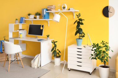 İş yeri, bitkiler ve rafları olan bir gencin odasının içinde.