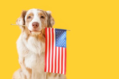 Sarı arka planda Amerikan bayrağı olan şirin bir köpek.
