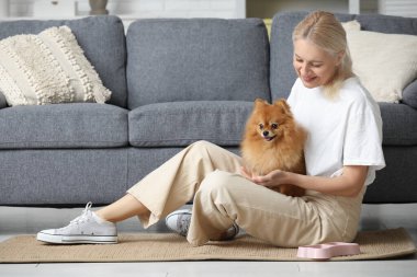 Evde Pomeranya köpeğini besleyen olgun bir kadın.