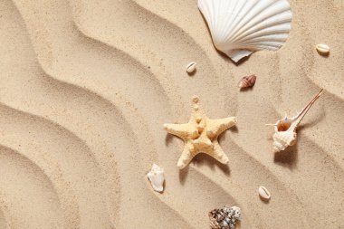 Deniz yıldızı ve deniz kum üzerinde