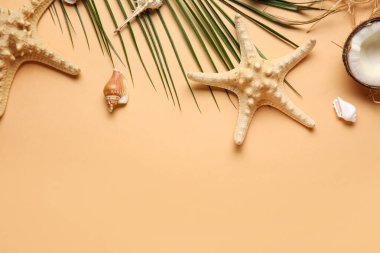 Renkli arka planda deniz yıldızları, deniz kabukları ve palmiye yaprağı bileşimi