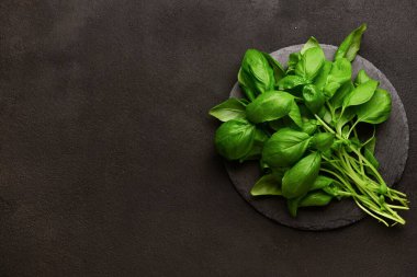 Siyah arka planda taze yeşil fesleğen bulunan tahta