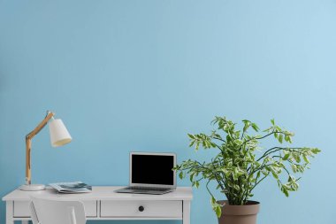 Renk duvarının yanında modern dizüstü bilgisayarı ve ev bitkisi olan rahat bir iş yeri