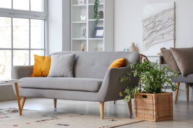 Rahat kanepesi ve çiçekleri olan şık bir oturma odası.