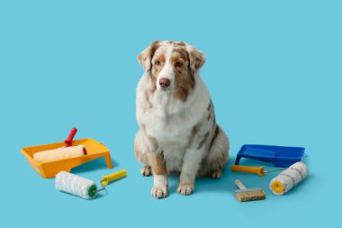 Mavi arka planda sevimli köpek ve dekoratör araçları