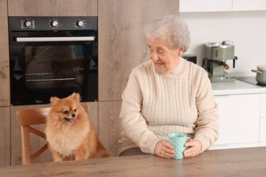 Mutfaktaki masada çay ve Pomeranya sosisli sandviçli son sınıf kadını.