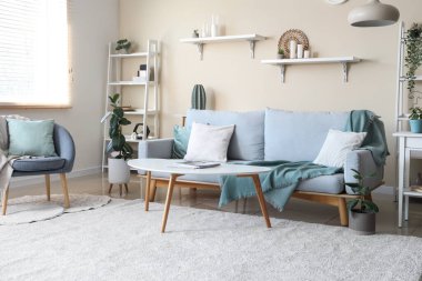 Rahat kanepesi, koltuğu ve sehpası olan bir oturma odası.