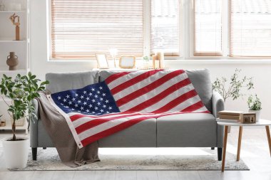 Kanepe, ev bitkisi ve duvarında Amerikan bayrağı olan bir oturma odası.
