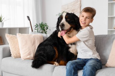 Küçük çocuk evdeki kanepede Bernese dağ köpeğine sarılıyor.