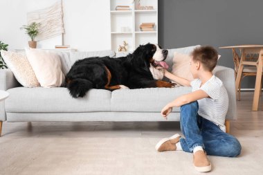 Bernese dağ köpeğiyle evdeki kanepede yatan küçük çocuk.