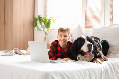 Yatak odasında dizüstü bilgisayar kullanan Bernese dağ köpeği olan küçük bir çocuk.